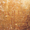Signature discovered after cleaning tree trunk area reads "Paris B." Bordone was a star assistant in Titian&rsquo;s studio.<br />Paris Bordone 1500-1571 Venice.<br />Galleria Colonna, Rome, Italy.